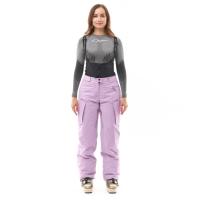 Dragonfly Штаны горнолыжные утепленные Gravity 2025 Woman Purple в Томске